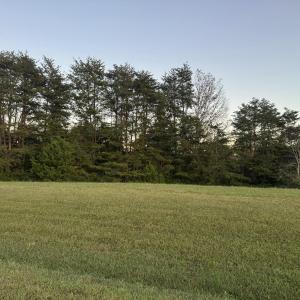 IMG_2776