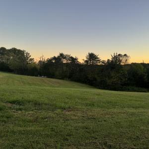 IMG_2782