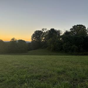 IMG_2783