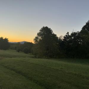 IMG_2787