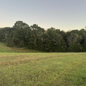 IMG_2790
