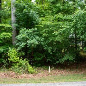 Photo #4 of 5 OAK HAVEN DR, MINERAL, VA 1.6 acres