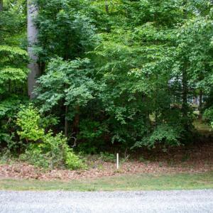 Photo #5 of 5 OAK HAVEN DR, MINERAL, VA 1.6 acres