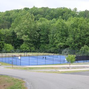 Photo #8 of 5 OAK HAVEN DR, MINERAL, VA 1.6 acres