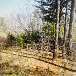 Lot 27 Garrison Ridge