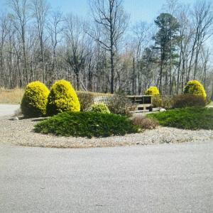 Eagle Pt Shores