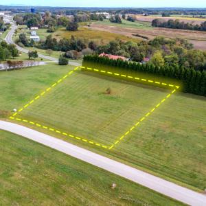 Lot 5