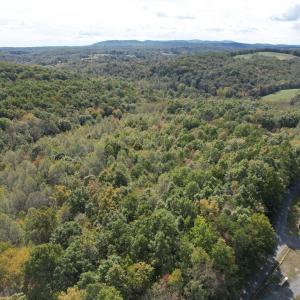DJI_0222