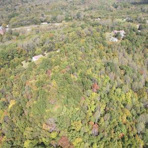 DJI_0224
