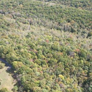 DJI_0225