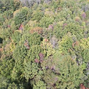 DJI_0226