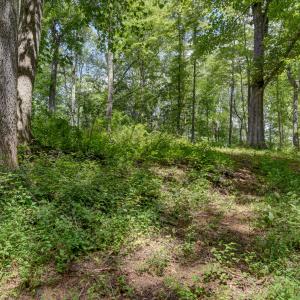 3_lot 0 north otter creek rd-03