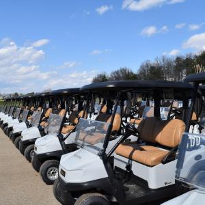 9 - Golf Carts