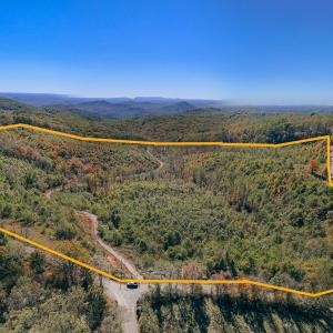 Dingler boundary line pic