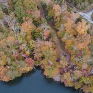 2025-10-28-16-22-20-556