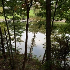 waterside pic 4