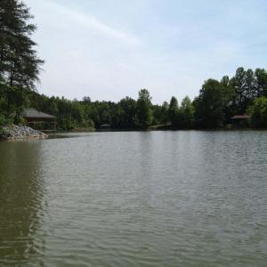 waterside pic 3