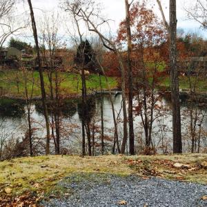 waterside pic 14