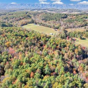 DJI_20251023033833_0238_D