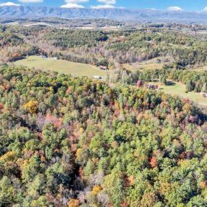 DJI_20251023033846_0239_D