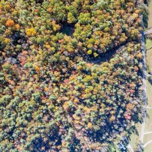 DJI_20251023034202_0248_D