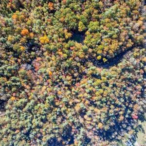 DJI_20251023034208_0249_D