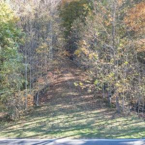 DJI_20251023034417_0255_D