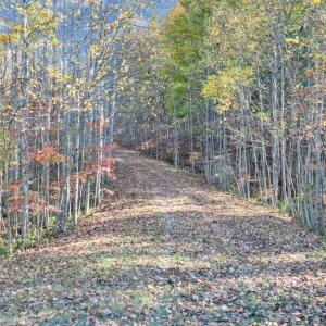 DJI_20251023034435_0257_D