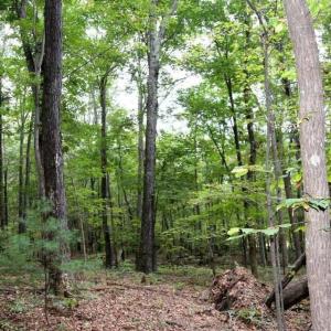 5829 Bradshaw Rd. 2017101015551715291300