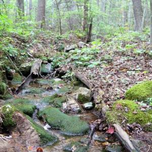 5829 Bradshaw Rd. 2017101015551684616000