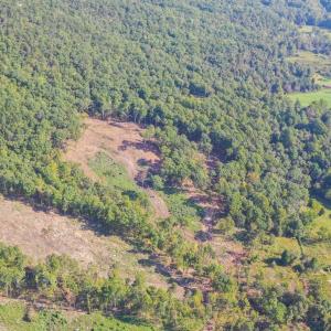 Image 10-26-25 at 2.42PM (2)