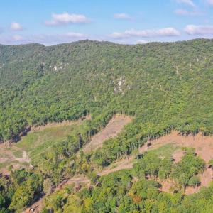 Image 10-26-25 at 2.41PM (2)