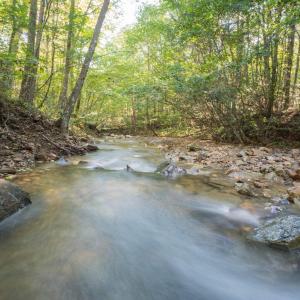 Image 10-26-25 at 2.41PM (1)