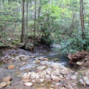 5829 Bradshaw Road 201710101555174416860