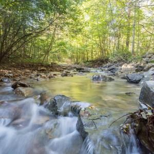 Image 10-26-25 at 9.05AM