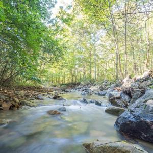 Image 10-26-25 at 2.43PM