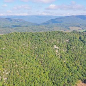 Image 10-26-25 at 2.42PM (1)