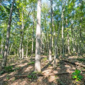 Image 10-26-25 at 2.41PM