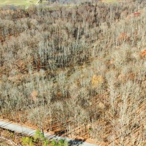 01-DJI_20251112102120_0034_D