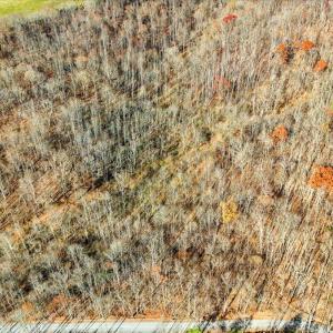 02-DJI_20251112102146_0035_D