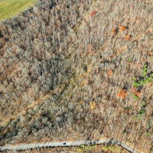 04-DJI_20251112102212_0037_D