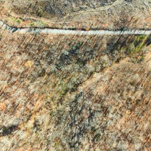 09-DJI_20251112102428_0042_D