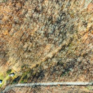 11-DJI_20251112102510_0044_D