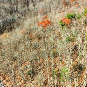 14-DJI_20251112102650_0047_D