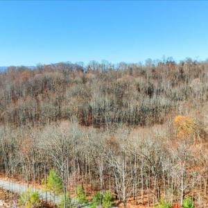 17-DJI_20251112102724_0050_D