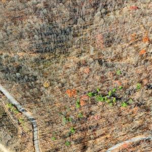 05-DJI_20251112102247_0038_D