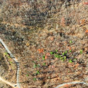 06-DJI_20251112102259_0039_D