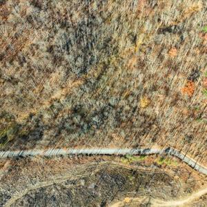 08-DJI_20251112102339_0041_D