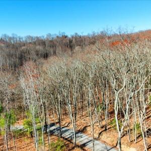 15-DJI_20251112102708_0048_D