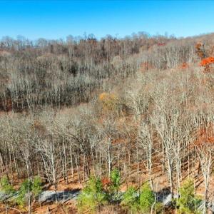 16-DJI_20251112102719_0049_D